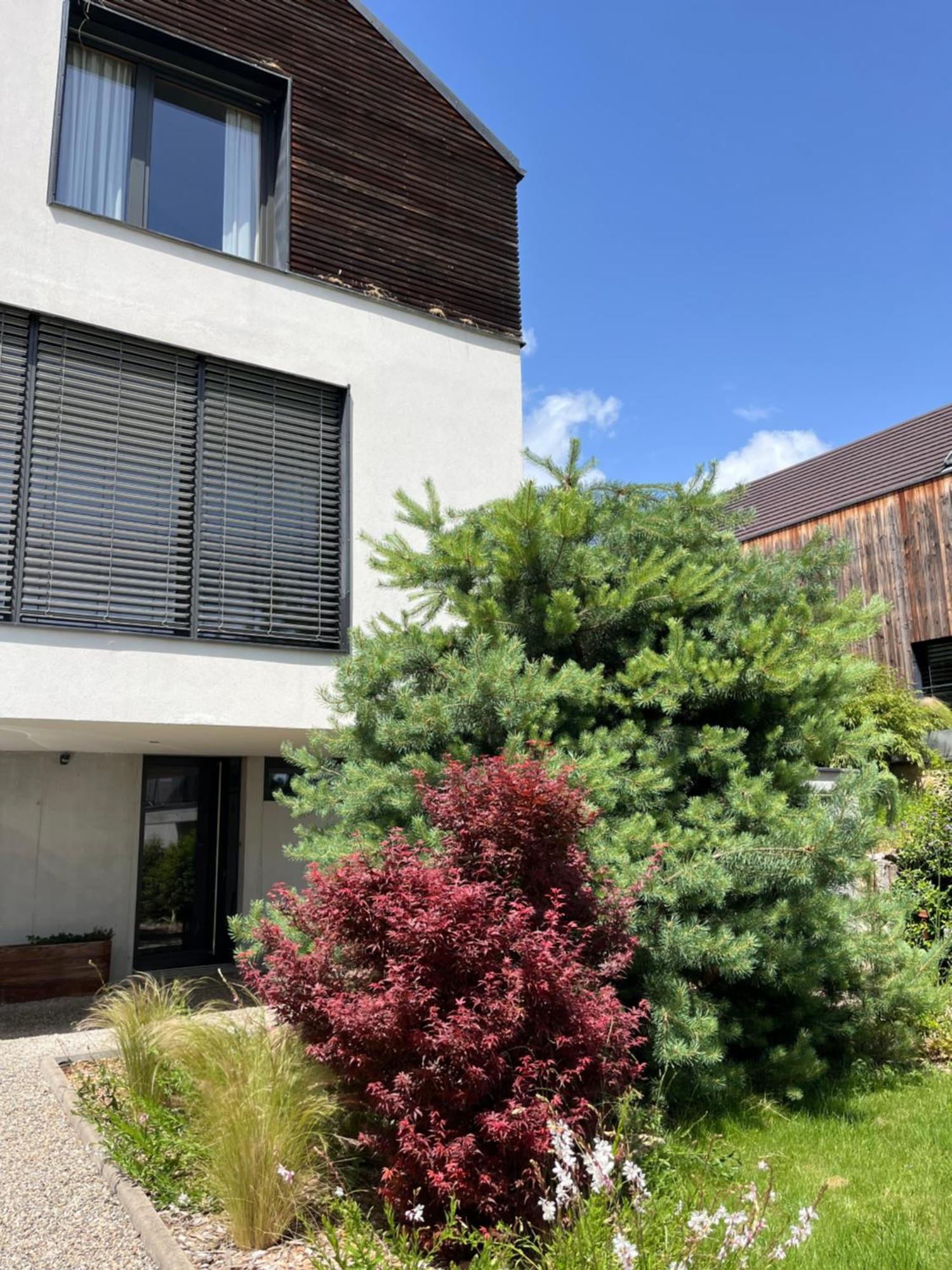 Chambre Double 2 P Luxe Aux Vignes Lovees, Entree Independante Riquewihr Eksteriør bilde